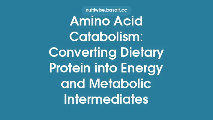 Amino Acid Catabolism: Converting Dietary Protein into Energy and Metabolic Intermediates Thumbnail