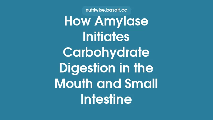 How Amylase Initiates Carbohydrate Digestion in the Mouth and Small Intestine Thumbnail