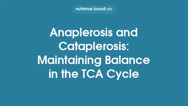 Anaplerosis and Cataplerosis: Maintaining Balance in the TCA Cycle Thumbnail