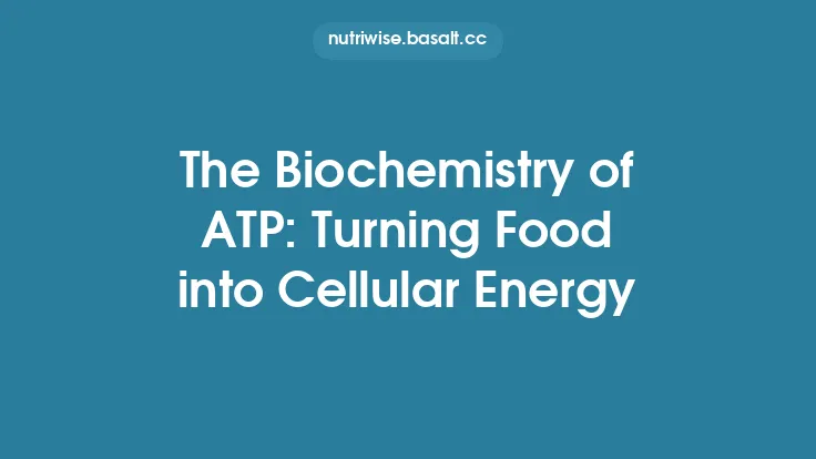 The Biochemistry of ATP: Turning Food into Cellular Energy Thumbnail