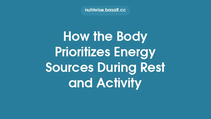How the Body Prioritizes Energy Sources During Rest and Activity Thumbnail