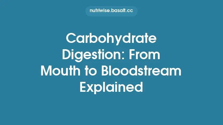 Carbohydrate Digestion: From Mouth to Bloodstream Explained Thumbnail