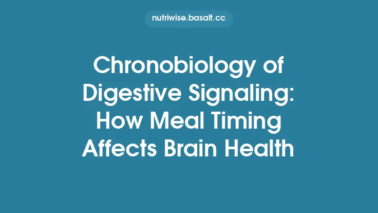 Chronobiology of Digestive Signaling: How Meal Timing Affects Brain Health Thumbnail