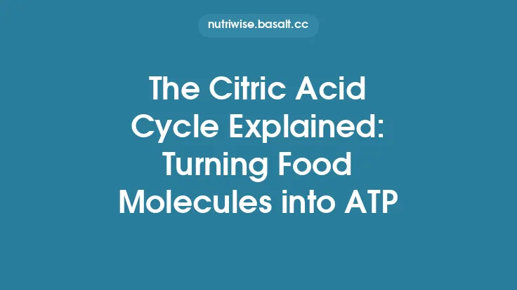 The Citric Acid Cycle Explained: Turning Food Molecules into ATP Thumbnail
