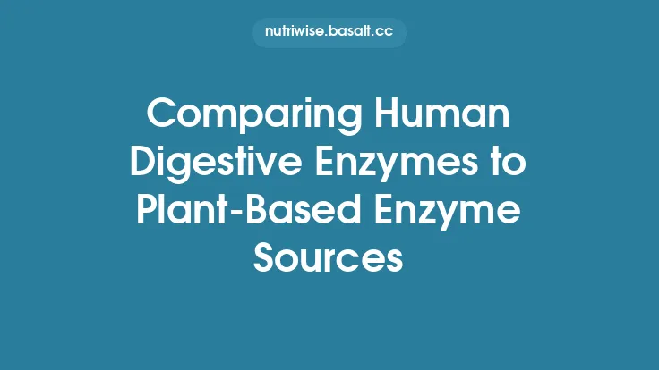 Comparing Human Digestive Enzymes to Plant‑Based Enzyme Sources Thumbnail