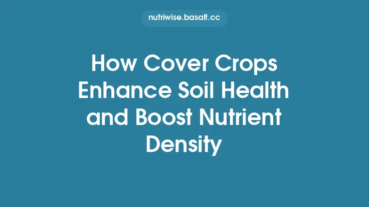 How Cover Crops Enhance Soil Health and Boost Nutrient Density Thumbnail