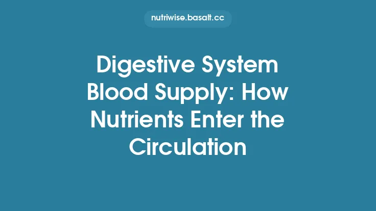 Digestive System Blood Supply: How Nutrients Enter the Circulation Thumbnail