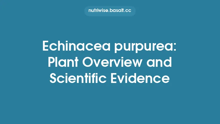 Echinacea purpurea: Plant Overview and Scientific Evidence Thumbnail