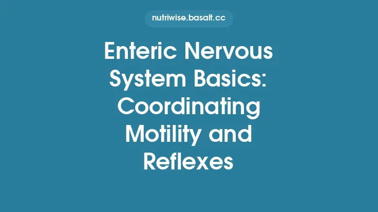 Enteric Nervous System Basics: Coordinating Motility and Reflexes Thumbnail