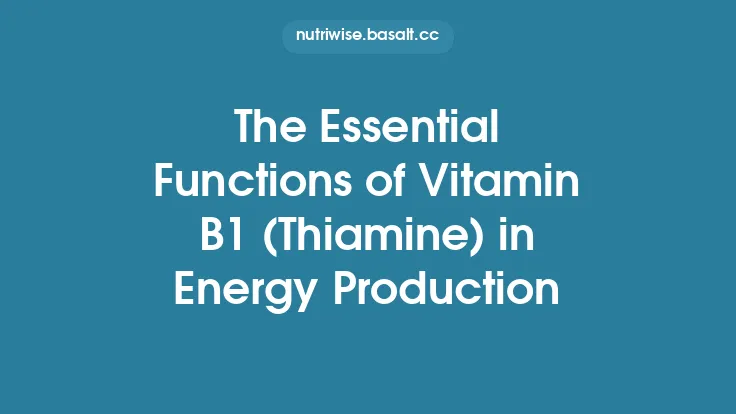 The Essential Functions of Vitamin B1 (Thiamine) in Energy Production Thumbnail