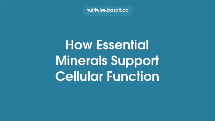 How Essential Minerals Support Cellular Function Thumbnail