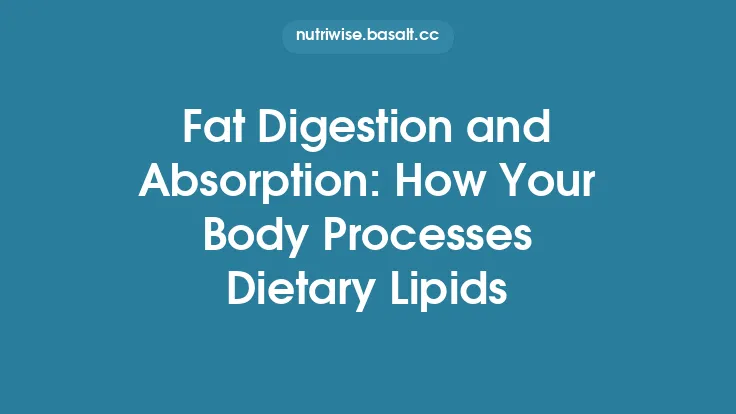 Fat Digestion and Absorption: How Your Body Processes Dietary Lipids Thumbnail