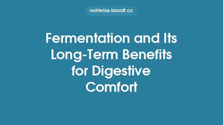 Fermentation and Its Long‑Term Benefits for Digestive Comfort Thumbnail