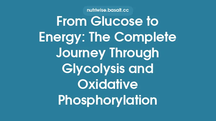 From Glucose to Energy: The Complete Journey Through Glycolysis and Oxidative Phosphorylation Thumbnail