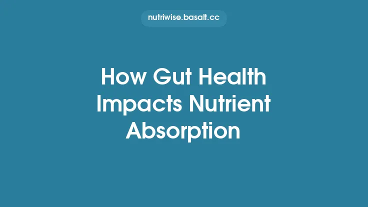 How Gut Health Impacts Nutrient Absorption Thumbnail