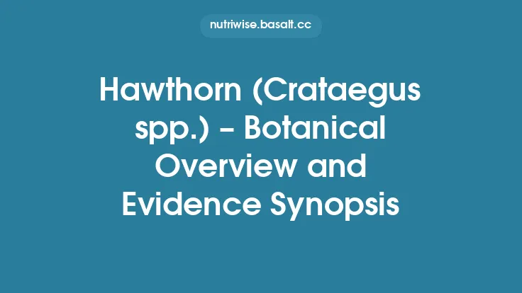 Hawthorn (Crataegus spp.) – Botanical Overview and Evidence Synopsis Thumbnail