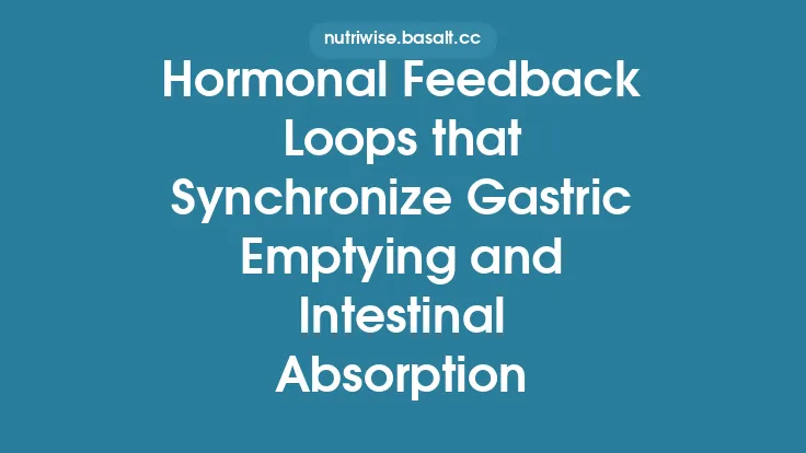 Hormonal Feedback Loops that Synchronize Gastric Emptying and Intestinal Absorption Thumbnail