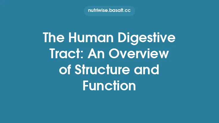 The Human Digestive Tract: An Overview of Structure and Function Thumbnail