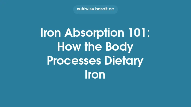 Iron Absorption 101: How the Body Processes Dietary Iron Thumbnail
