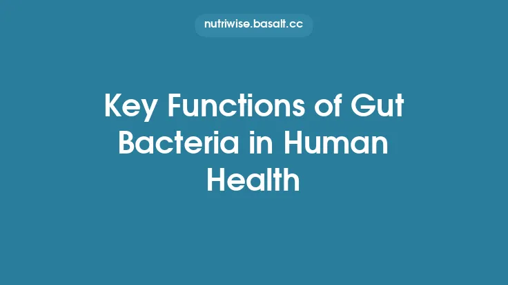 Key Functions of Gut Bacteria in Human Health Thumbnail