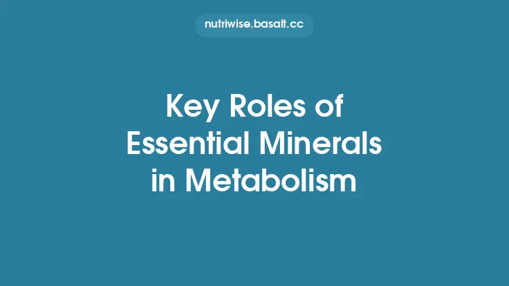 Key Roles of Essential Minerals in Metabolism Thumbnail