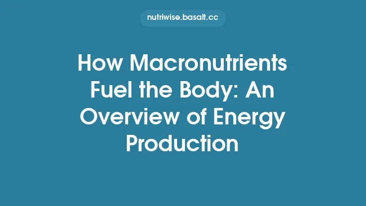 How Macronutrients Fuel the Body: An Overview of Energy Production Thumbnail