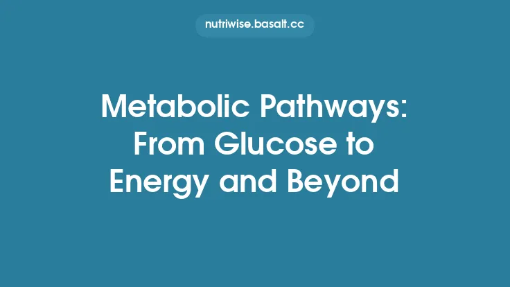 Metabolic Pathways: From Glucose to Energy and Beyond Thumbnail