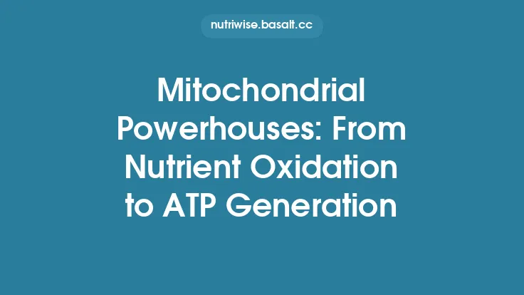 Mitochondrial Powerhouses: From Nutrient Oxidation to ATP Generation Thumbnail