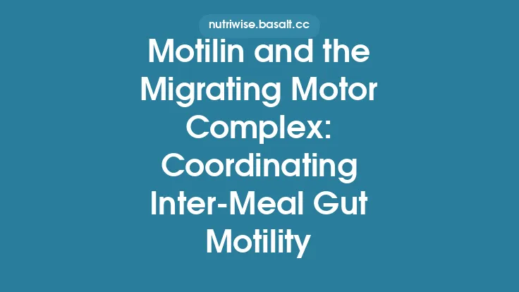 Motilin and the Migrating Motor Complex: Coordinating Inter‑Meal Gut Motility Thumbnail