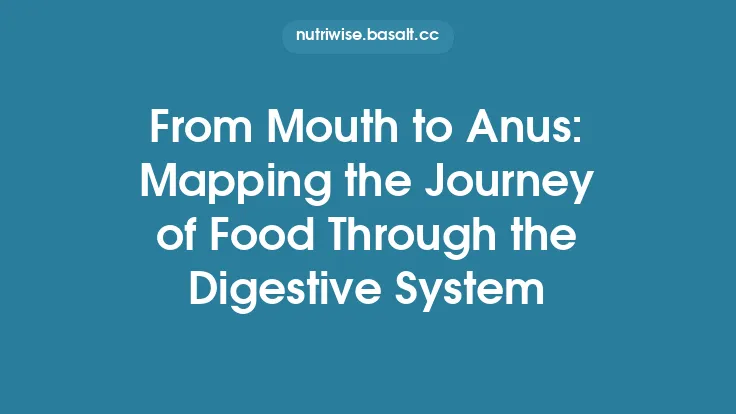From Mouth to Anus: Mapping the Journey of Food Through the Digestive System Thumbnail
