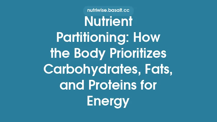 Nutrient Partitioning: How the Body Prioritizes Carbohydrates, Fats, and Proteins for Energy Thumbnail