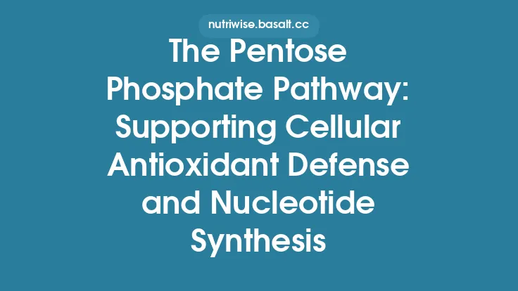 The Pentose Phosphate Pathway: Supporting Cellular Antioxidant Defense and Nucleotide Synthesis Thumbnail