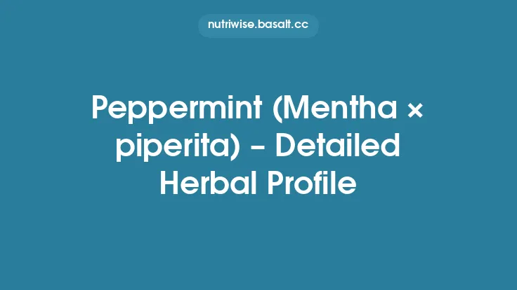 Peppermint (Mentha × piperita) – Detailed Herbal Profile Thumbnail