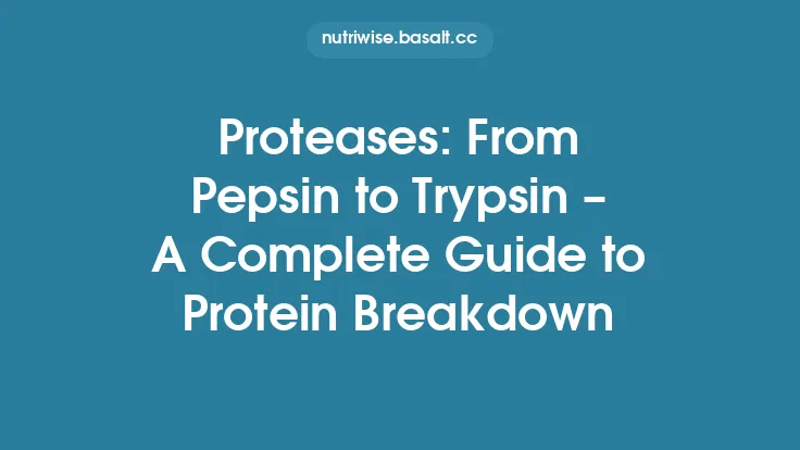 Proteases: From Pepsin to Trypsin – A Complete Guide to Protein Breakdown Thumbnail
