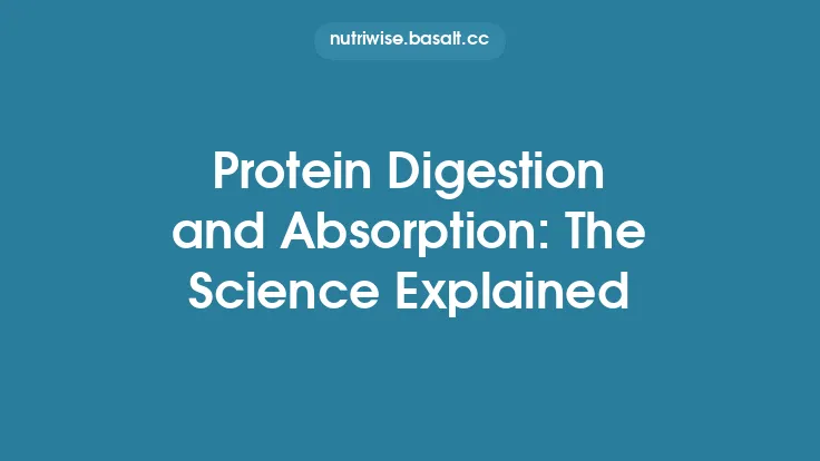 Protein Digestion and Absorption: The Science Explained Thumbnail