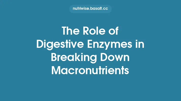 The Role of Digestive Enzymes in Breaking Down Macronutrients Thumbnail