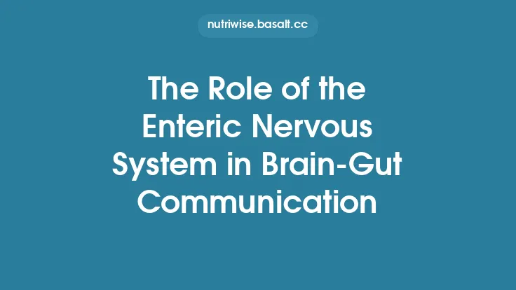 The Role of the Enteric Nervous System in Brain‑Gut Communication Thumbnail