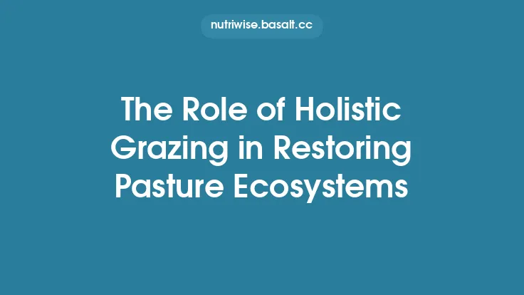 The Role of Holistic Grazing in Restoring Pasture Ecosystems Thumbnail