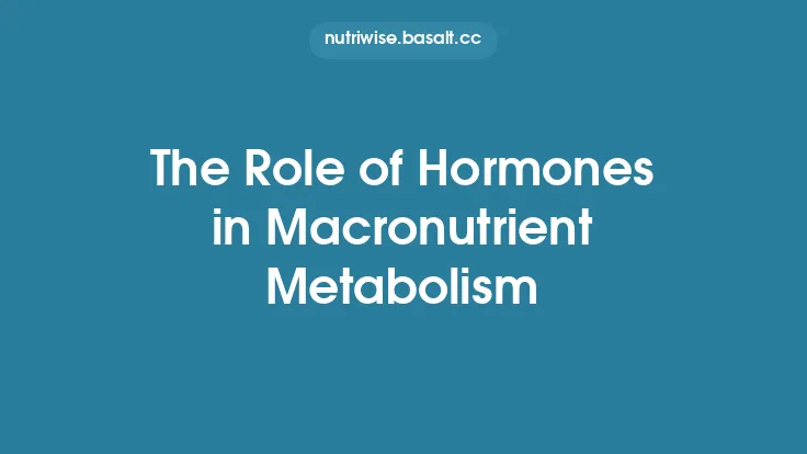 The Role of Hormones in Macronutrient Metabolism Thumbnail