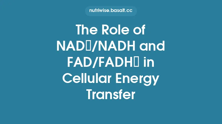 The Role of NAD⁺/NADH and FAD/FADH₂ in Cellular Energy Transfer Thumbnail