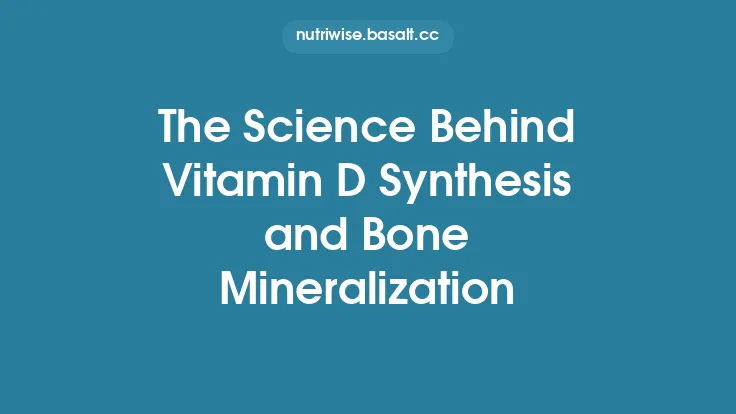 The Science Behind Vitamin D Synthesis and Bone Mineralization Thumbnail