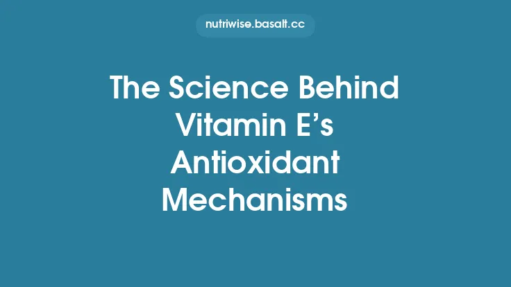 The Science Behind Vitamin E’s Antioxidant Mechanisms Thumbnail