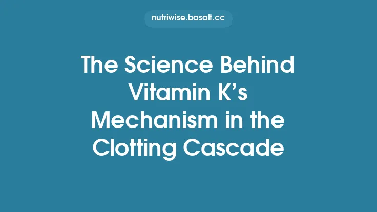 The Science Behind Vitamin K’s Mechanism in the Clotting Cascade Thumbnail