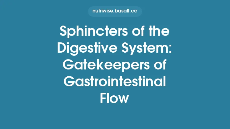 Sphincters of the Digestive System: Gatekeepers of Gastrointestinal Flow Thumbnail
