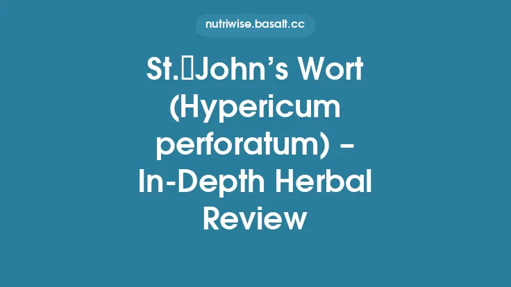 St. John’s Wort (Hypericum perforatum) – In‑Depth Herbal Review Thumbnail