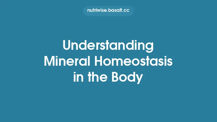 Understanding Mineral Homeostasis in the Body Thumbnail