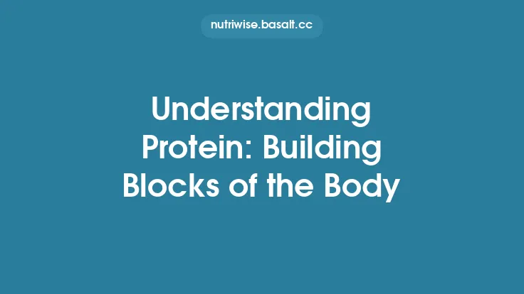 Understanding Protein: Building Blocks of the Body Thumbnail