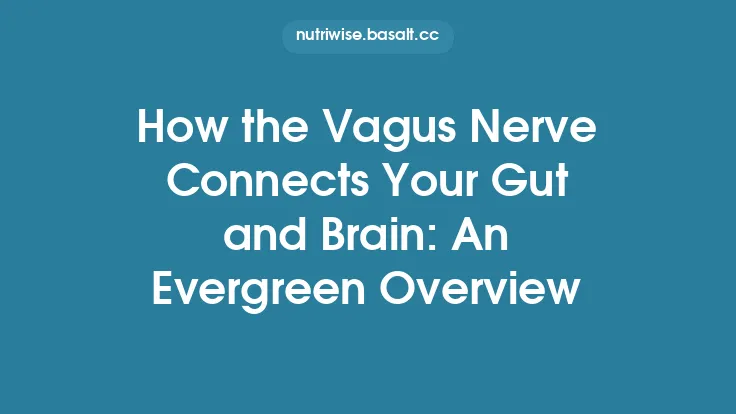 How the Vagus Nerve Connects Your Gut and Brain: An Evergreen Overview Thumbnail