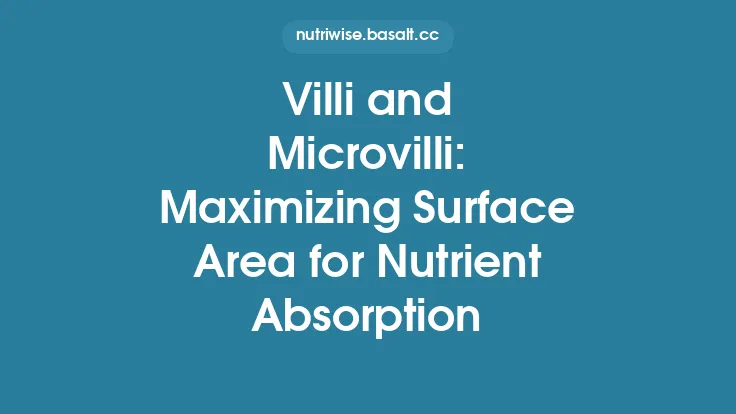 Villi and Microvilli: Maximizing Surface Area for Nutrient Absorption Thumbnail