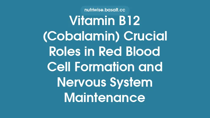 Vitamin B12 (Cobalamin) Crucial Roles in Red Blood Cell Formation and Nervous System Maintenance Thumbnail